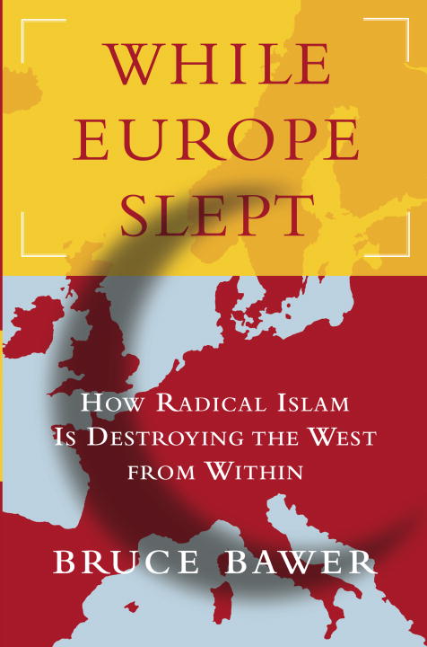 Title details for While Europe Slept by Bruce Bawer - Wait list